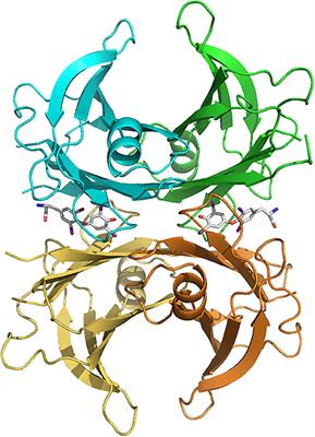 Modulation of the Mechanisms Driving Transthyretin Amyloidosis